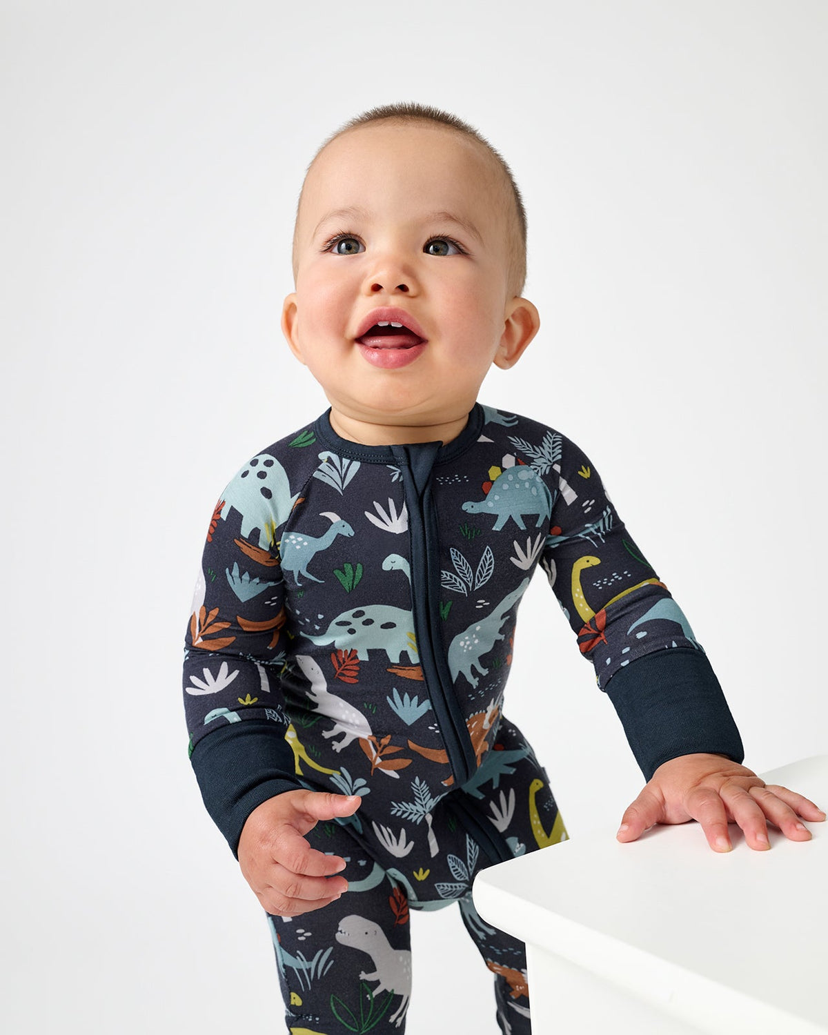Jurassic Jungle Navy Zippy